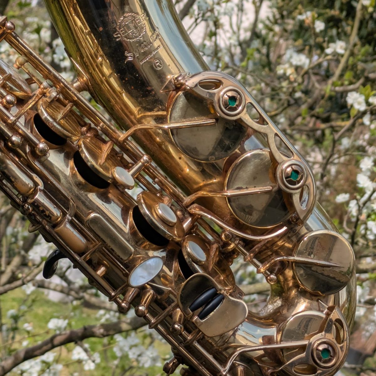 Saxophone Selmer Mark VII Selmer retamponnage